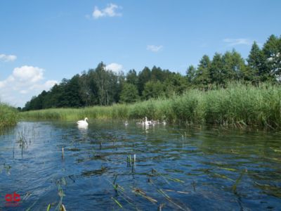 Kajakowa przygoda na Czarnej Hańczy