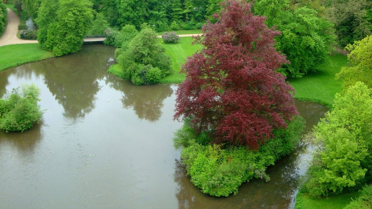 Park Mużakowski