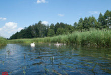 Kajakowa przygoda na Czarnej Hańczy